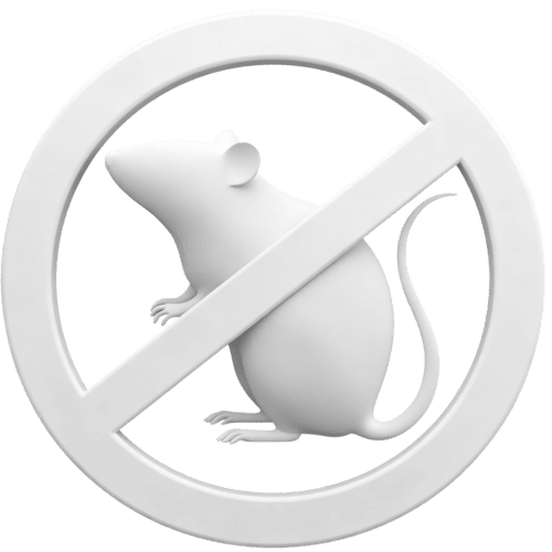 Дератизация