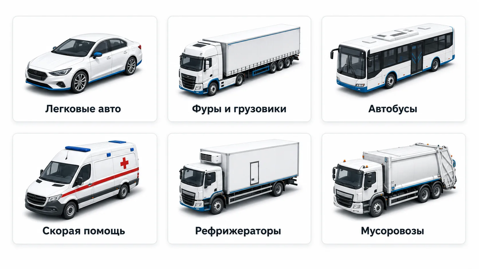 Инфографика: виды транспорта для дезинфекции — легковые, грузовые, автобусы, скорые, рефрижераторы, мусоровозы